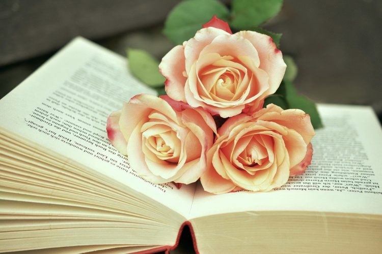 otwrta książka na której lezą róże